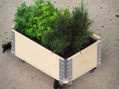 Wooden Raised Bed 60x40x19cm