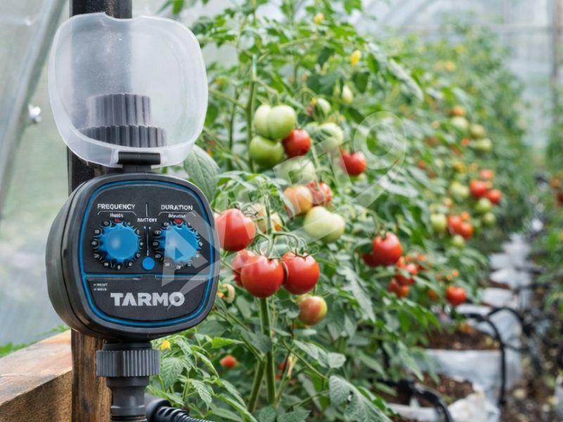 Timer irrigation Tarmo