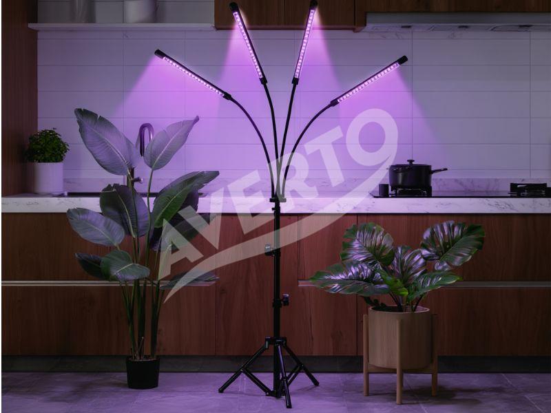Fitolempa 4x20 LED