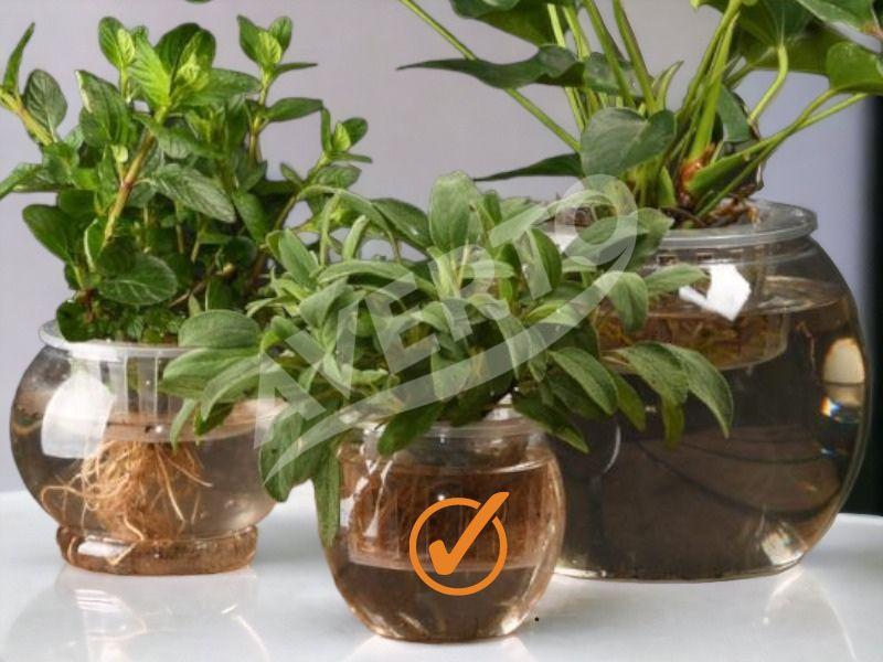 HYDROCHRONO - Pot De Jardinage 11 X 11 X 12 Cm - Plastique Souple Et Réutilisable