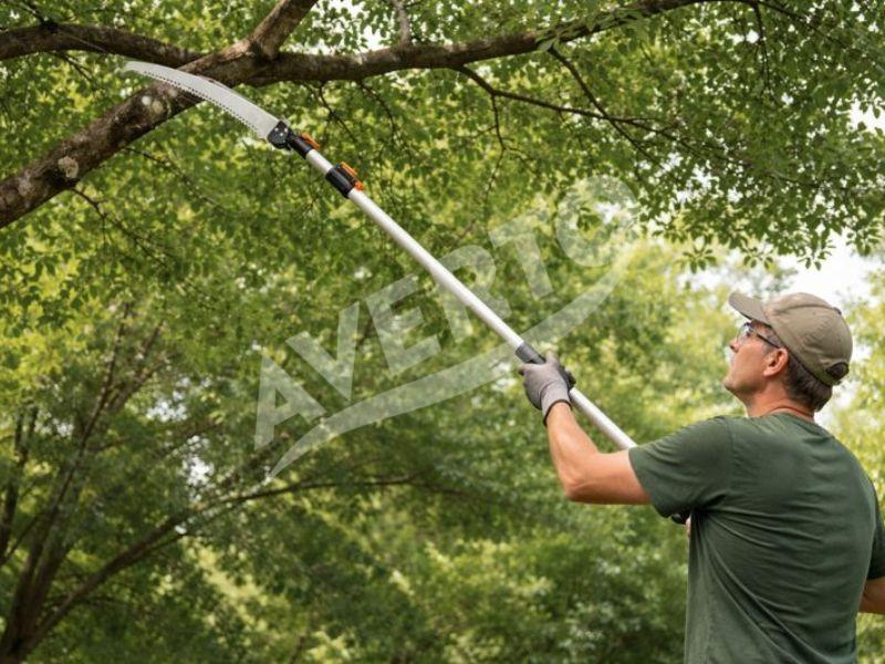 Šakų pjūklas 2,4 m